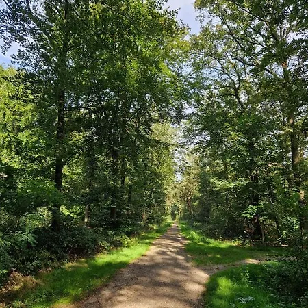 Nature & U * Voorthuizen